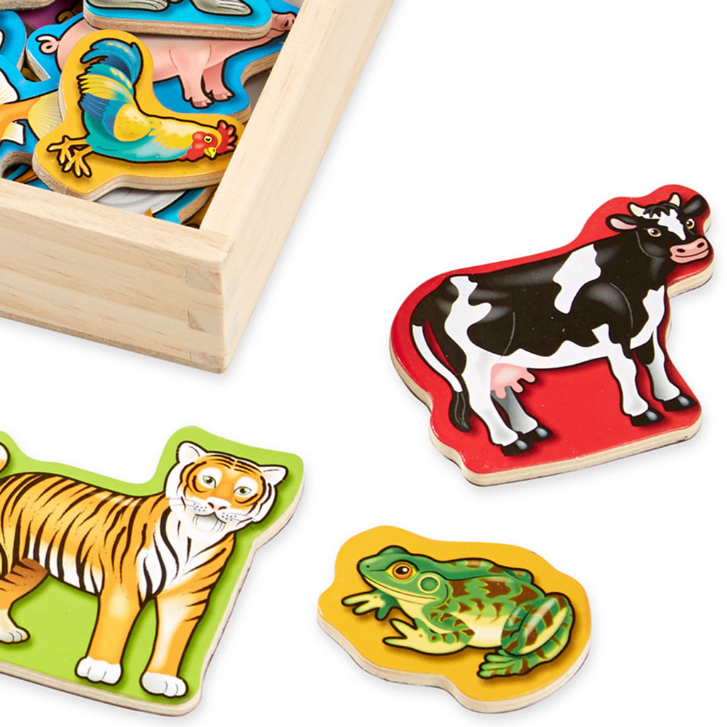 Magnetic Wooden Animals In Box
