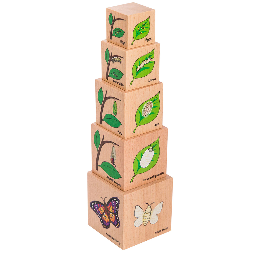 Lifecycle Wooden Blocks, 5 Pieces