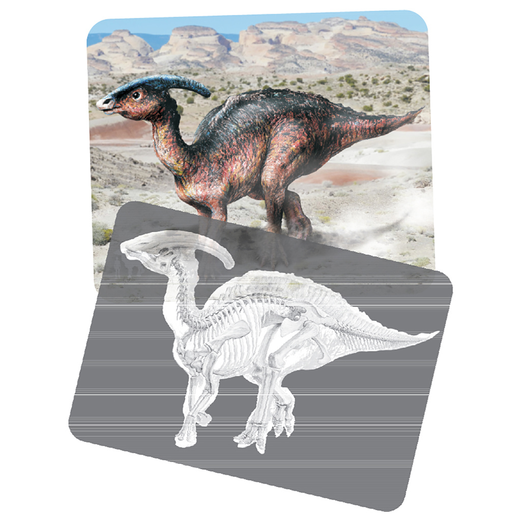 Discover Dinosaurs Picture Cards & X-Rays, 24 Pieces