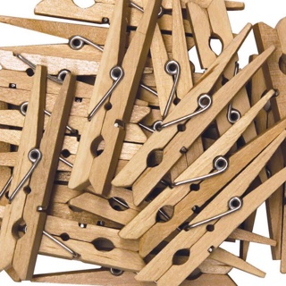Spring Clothespins, 2-3/4" Long, Natural, 24 Pieces