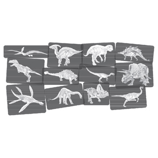 Discover Dinosaurs Picture Cards & X-Rays, 24 Pieces