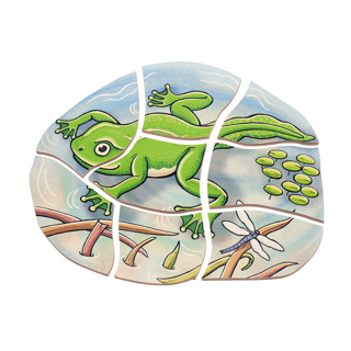 Frog Layer Puzzle
