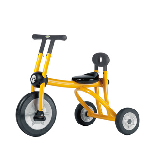 Pilot 300 Tricycle