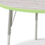 Berries Adjustable Table, 48", Round, Driftwood with Key Lime, 15"-24" High