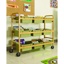Bamboo Book Browser Cart with Sage Tubs