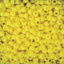 Pony Beads, Yellow, 1,000 Pieces