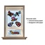 Junior Bug Stained Glass Frames, Set of 24